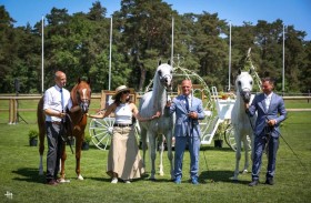 رابع بطولات كأس الإمارات العالمي لجمال الخيل العربية في ضيافة فاونتينبلو الفرنسية