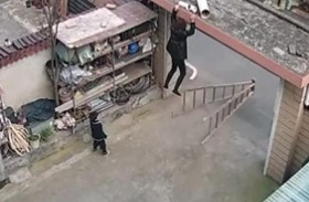 الطفل البطل.. أنقذ جدته من السقوط المخيف 