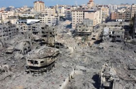   ناميبيا تنتقد موقف برلين  من اتهام إسرائيل بالإبادة