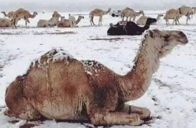 جمعية الإمارات للفلك: الثلث الأوسط من شهر يناير تعد الأبرد خلال فصل الشتاء