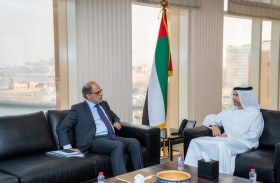 محمد الحسيني يلتقي مسؤولا في صندوق النقد الدولي