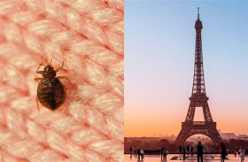 إغلاق 7 مدارس في فرنسا جراء انتشار بقّ الفراش