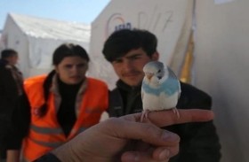 ببغاء ينقذ أسرة من موت محقق