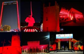 شيخة بنت سيف تشيد بجهود الإمارات للتوعية بمرض الثلاسيميا