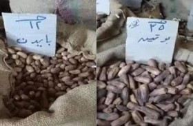 أسعار بلح رمضان .. بوتين الأغلى