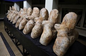 تزن 8 أطنان..حفرية عمرها 39 مليون عام