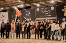 مربط دبي يوشح الإمارات بكأس كل الأمم محملا بالذهب والفضة والألقاب 