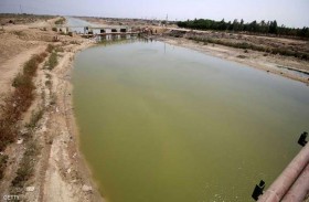 المسكوف العراقي  في خطر.. أزمة المياه تنذر بجفاف كارثي