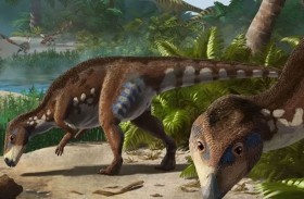 ترانسيلفانوسورس بلاتيسيفالوس.. اكتشاف ديناصور جديد