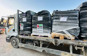 12 شاحنة تحمل مساعدات إماراتية جديدة تعبر إلى غزة