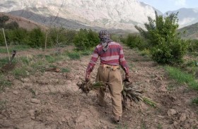 أزمة الجفاف في العراق تشتد.. الحكومة تلجأ لـ «الحل المؤقت»