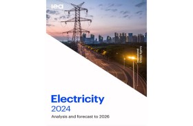 الوكالة الدولية للطاقة: توليد الكهرباء من مصادر متجددة في الإمارات يرتفع إلى 12 % بحلول 2026