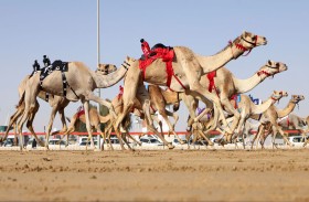 مهرجان المرموم.. ملحمة سنوية تُجسد الأصالة الإماراتية