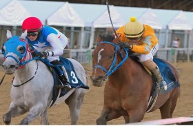 الجواد «باديس دي» يحصد لقب كأس رئيس الدولة للخيول العربية الأصيلة في أمريكا