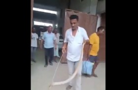 فقد حياته بعد محاولته الإمساك بثعبان