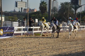 المحطة الـ12 من كأس رئيس الدولة للخيول العربية تنطلق اليوم في القاهرة